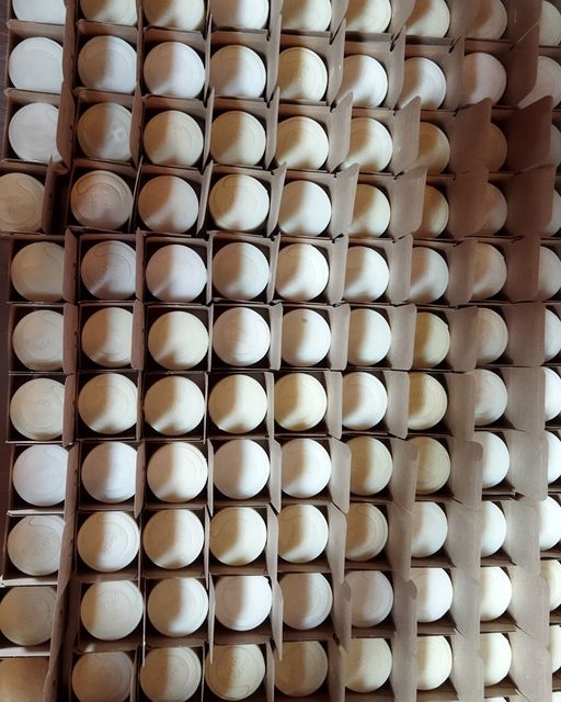 Organic Certified Balancing Solid Shampoo - Cedarwood - Oily & All Hair Types 60g - Earthsenseorganics