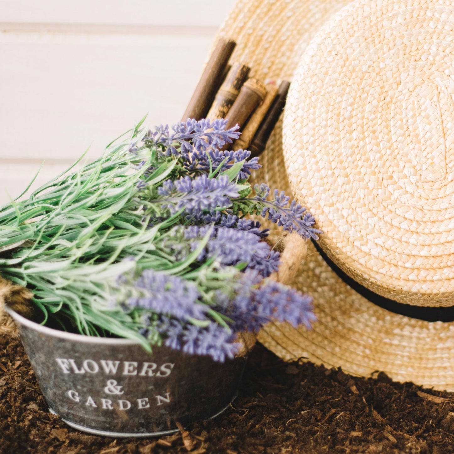 Organic Lavender Lip Balm 15ml - Earthsenseorganics